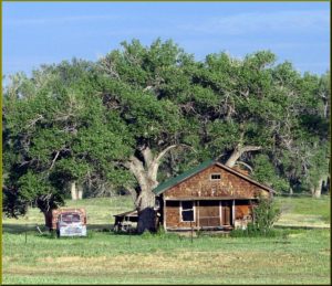 Southeast Health Group Uses COMET to Help Strengthen its Agricultural Community